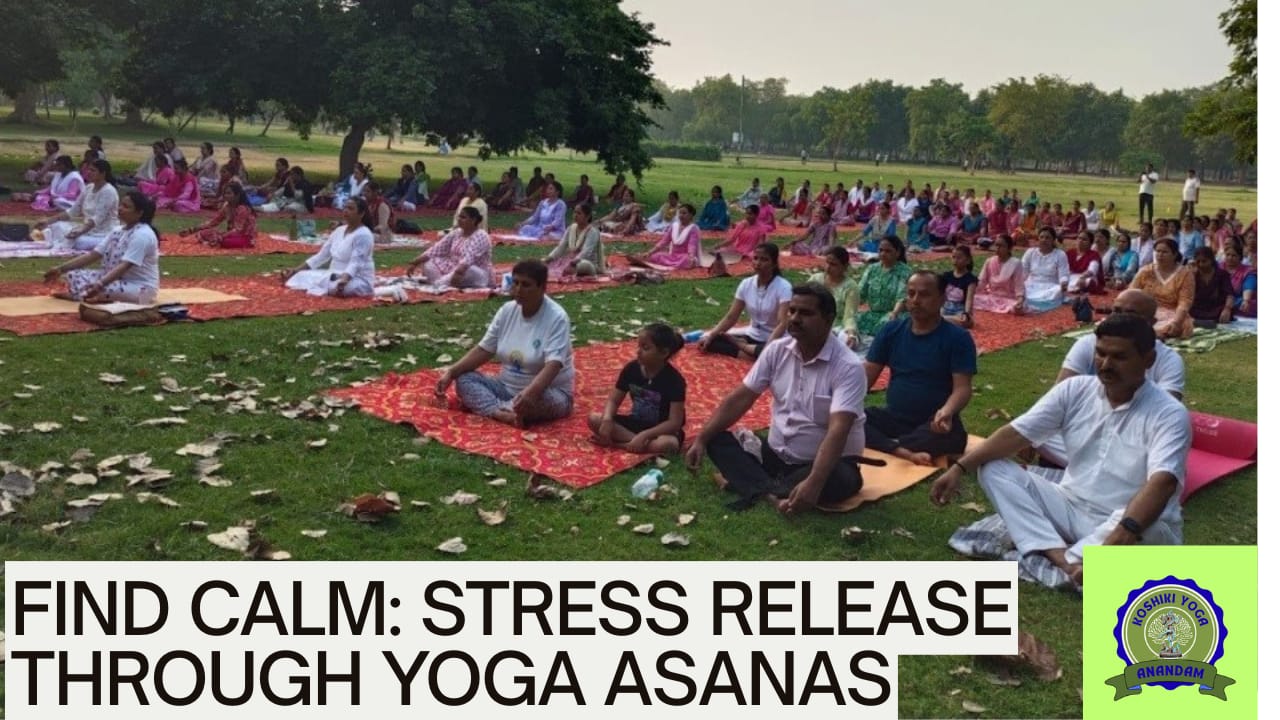 WhatsApp Image 2025-09-16 at 4.15.06 PM